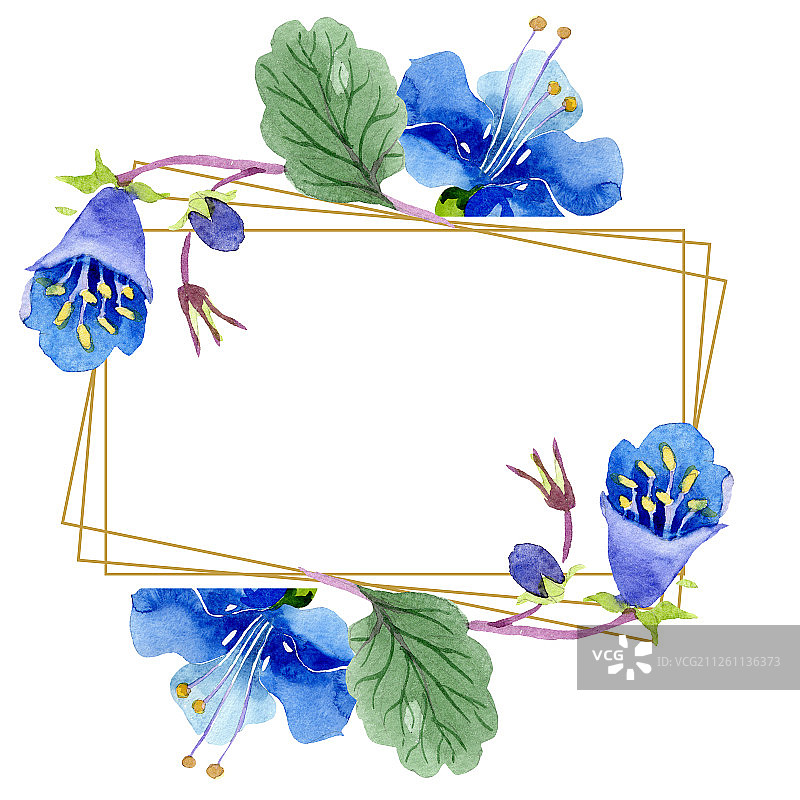 蓝色法赛丽花，绿色叶子野花，水彩背景插图集，花卉方形框架图片素材