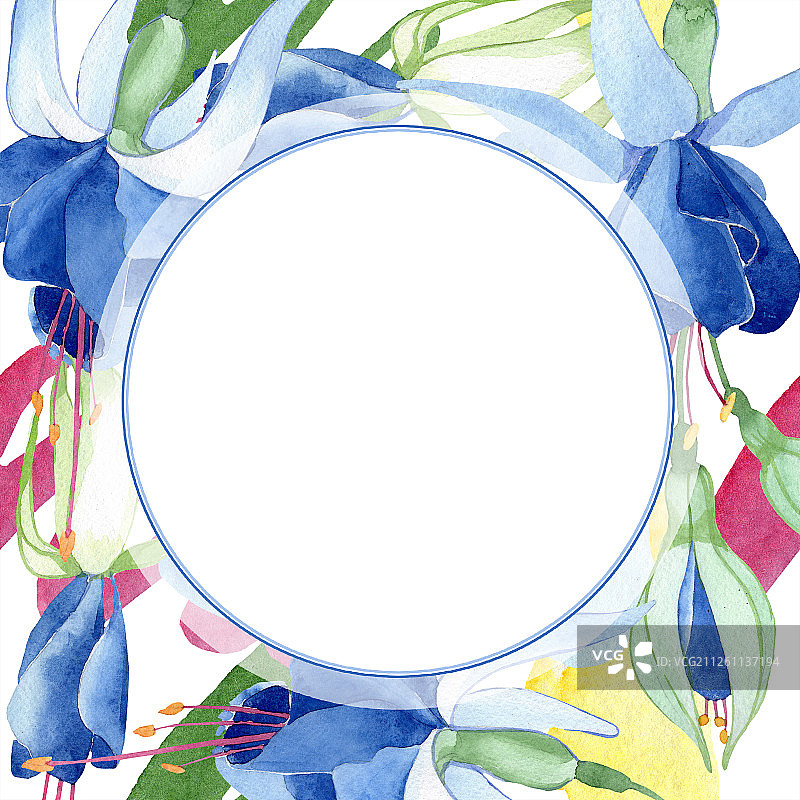 蓝色倒挂金钟花卉植物花卉水彩时尚水彩画隔离边框装饰方块图片素材