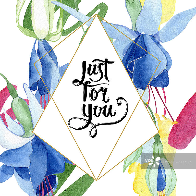 蓝色倒挂金钟花卉植物花卉水彩时尚水彩画隔离边框装饰方块图片素材