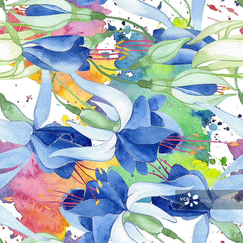 蓝色倒挂金钟花卉背景图案图片素材