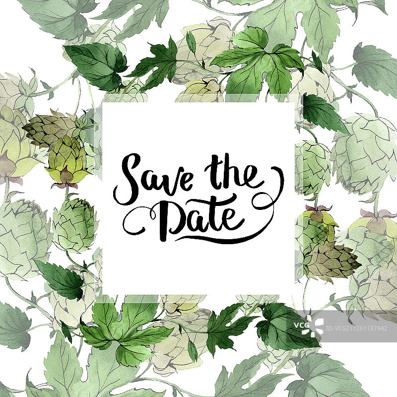 啤酒花绿叶，框架边框正方形装饰，婚礼日期手写字母组合书法图片素材