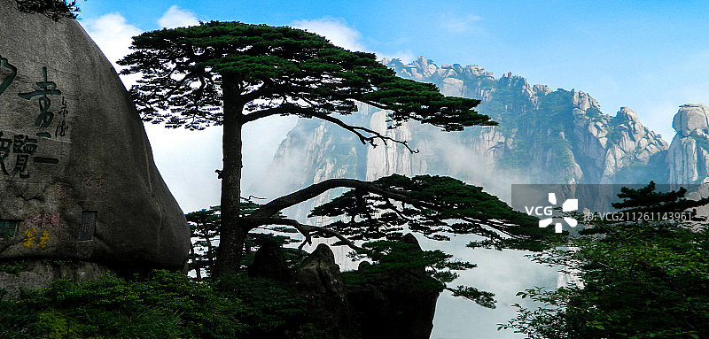 黄山迎客松自然风光图片素材