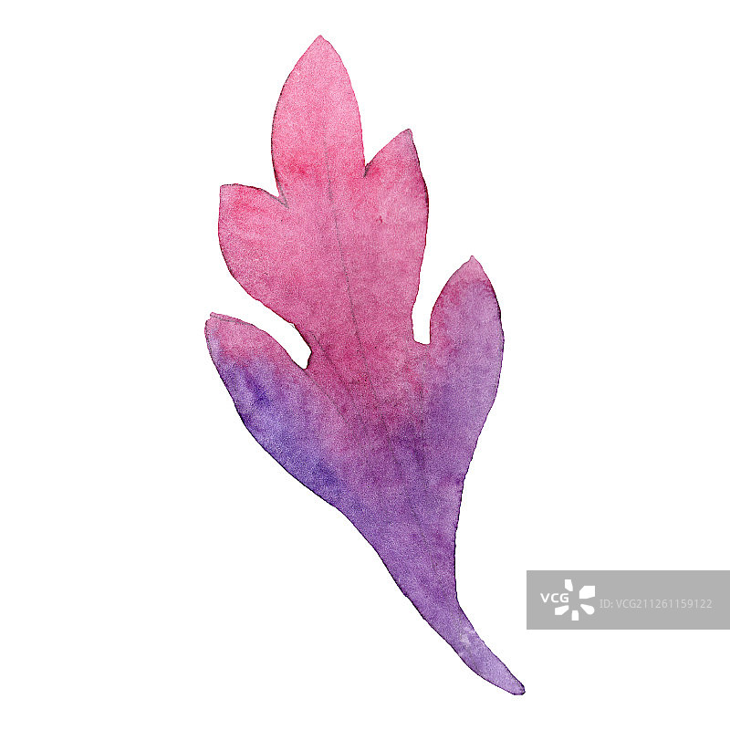 紫粉色叶子水彩背景花卉植物插画图片素材