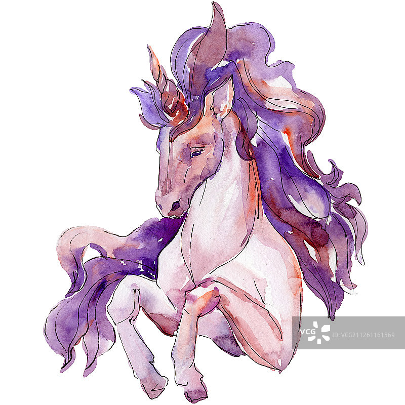 可爱紫色独角兽马白色背景插画。童话儿童甜蜜梦境图片素材