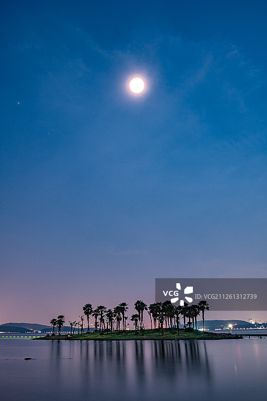 武汉东湖夜色图片素材