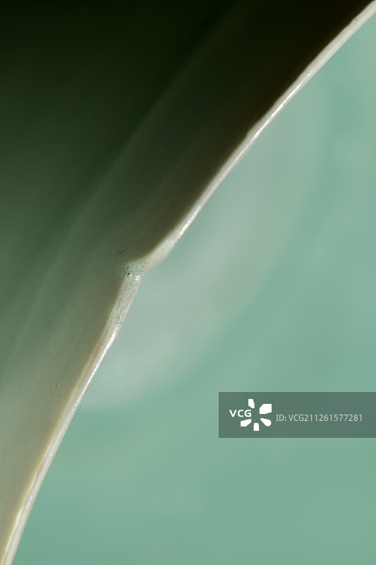 马蝗绊 蚂蟥绊龙泉窑青瓷碗， 天下龙泉，南宋，东京国立博物馆图片素材