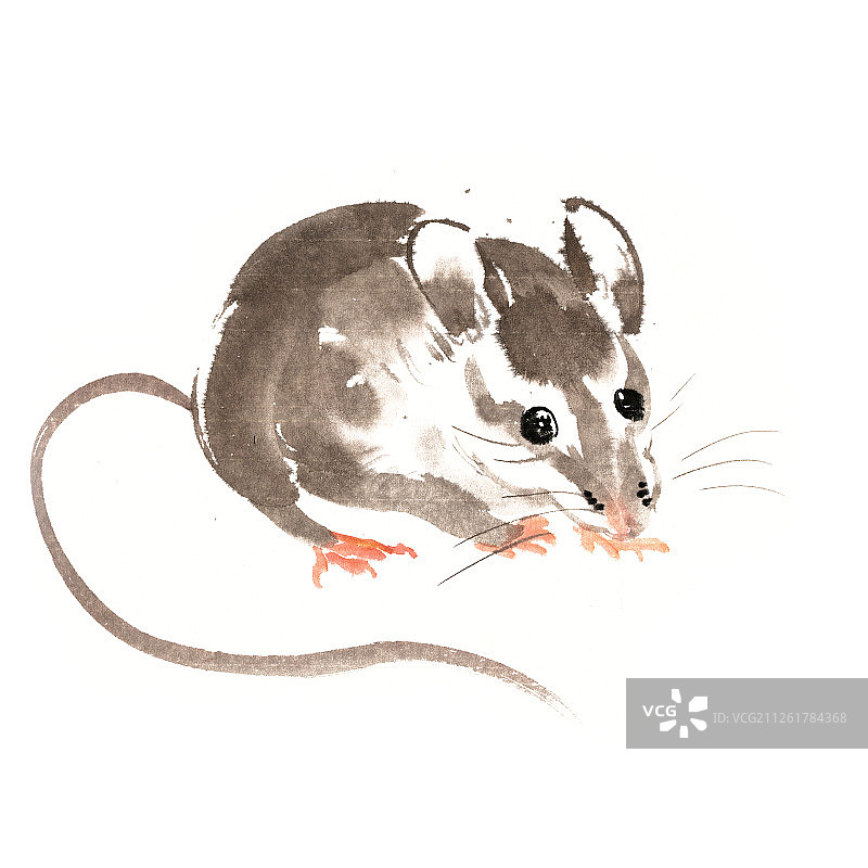 2020鼠年小老鼠图片素材