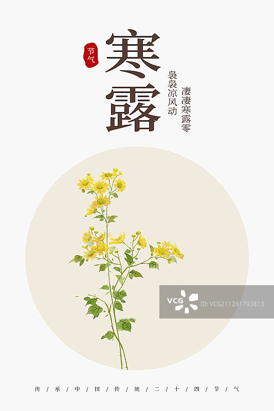 24节气花草插画寒露海报图片素材