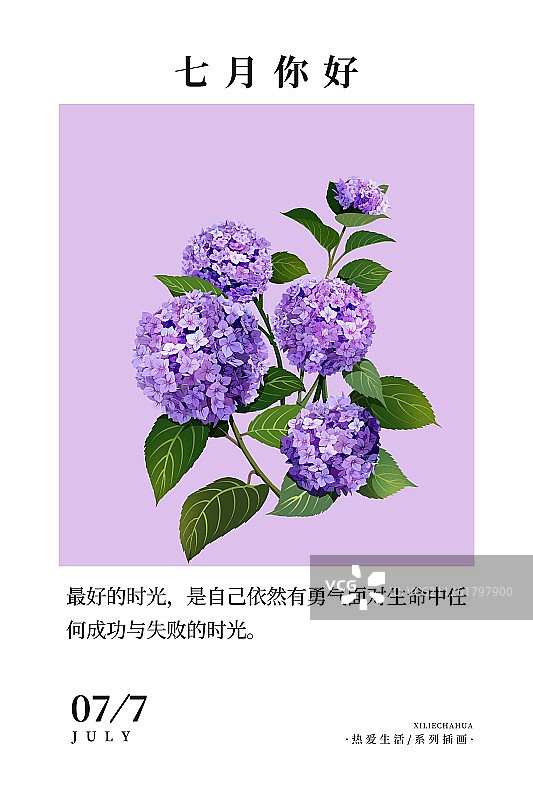 七月你好紫色绣球花月份海报竖版图片素材