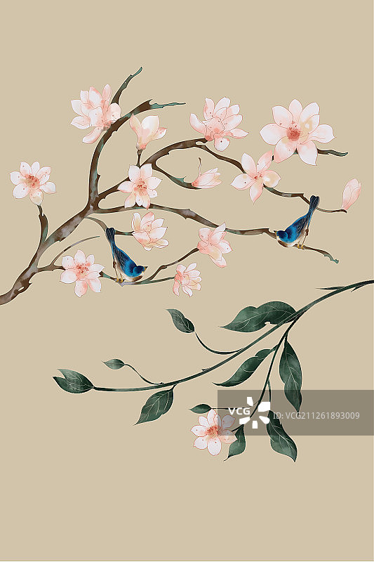 花鸟图图片素材