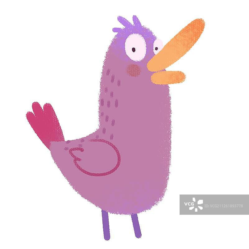 可爱紫色小鸟图片素材