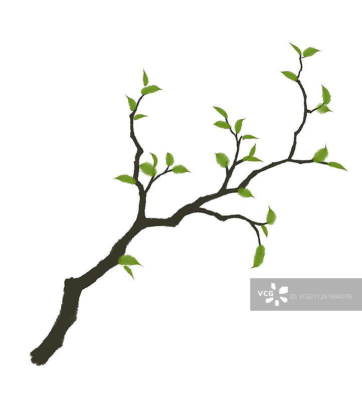 树枝二图片素材