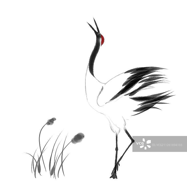 仙鹤小草图片素材