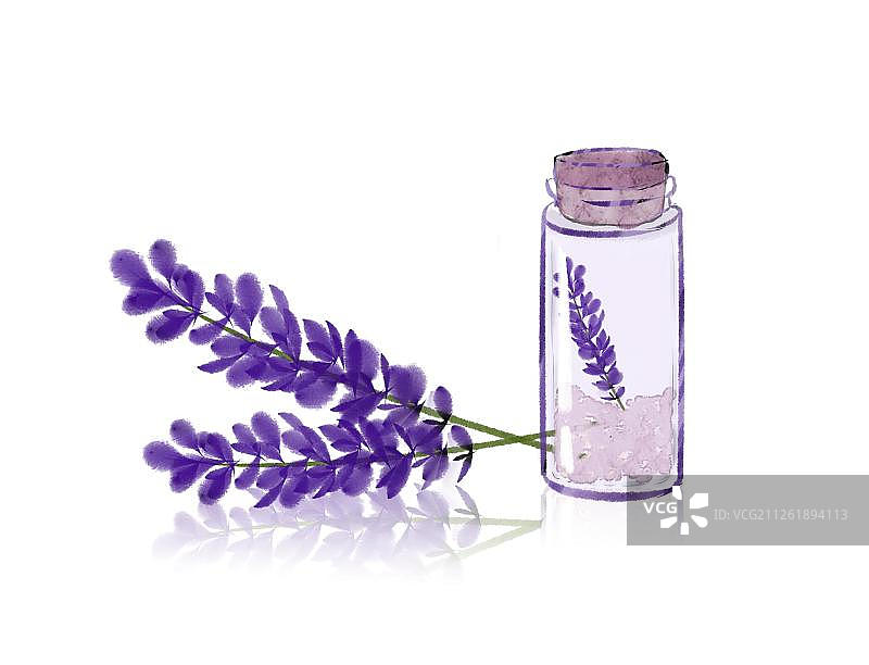 薰衣草瓶子倒影图片素材