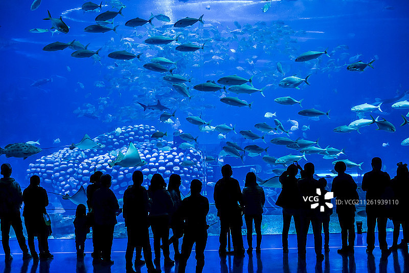 海洋馆水族箱图片素材