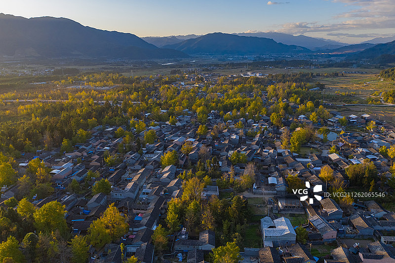 腾冲银杏村图片素材