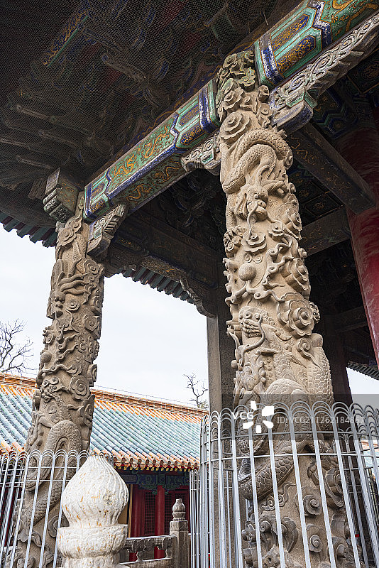 山东曲阜孔庙大成殿的盘龙石柱图片素材