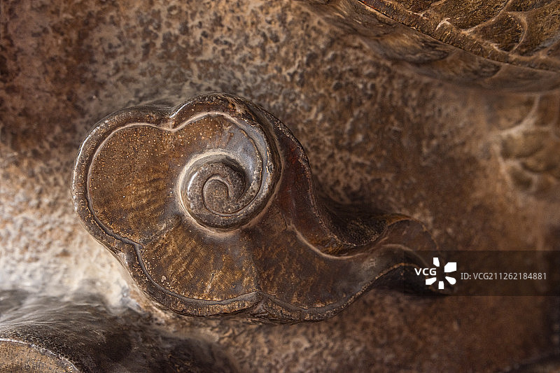 山东曲阜孔庙大成殿的盘龙石柱图片素材