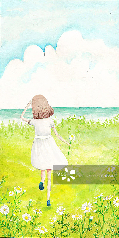 洋甘菊明天会更好图片素材