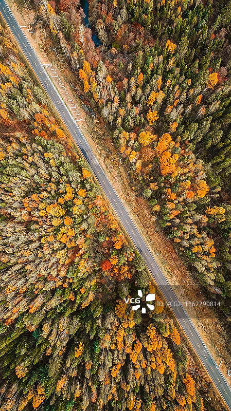 秋季东北黑龙江伊春森林景观航拍图片素材