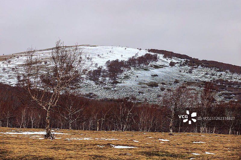 黄岗梁 风光图片素材