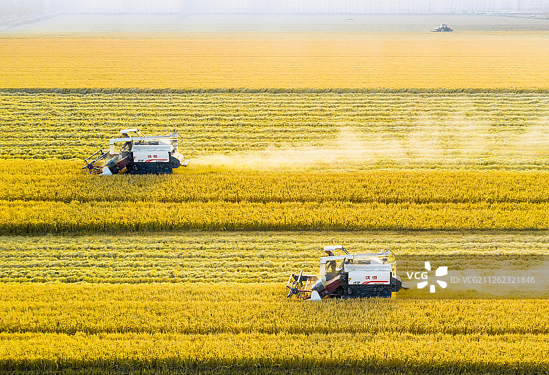 联合收割机在麦田里工作图片素材