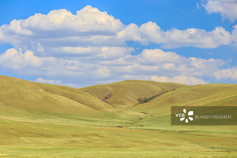 乌珠穆沁草原风光图片素材