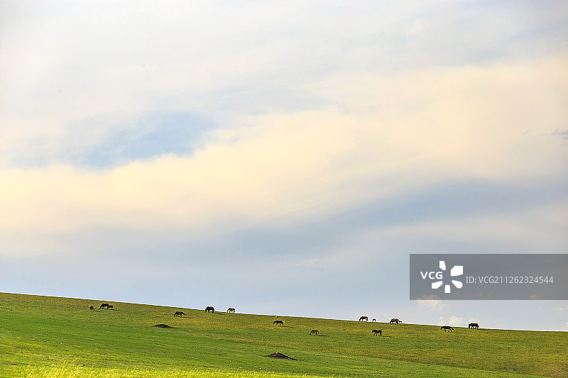 乌珠穆沁草原风光图片素材