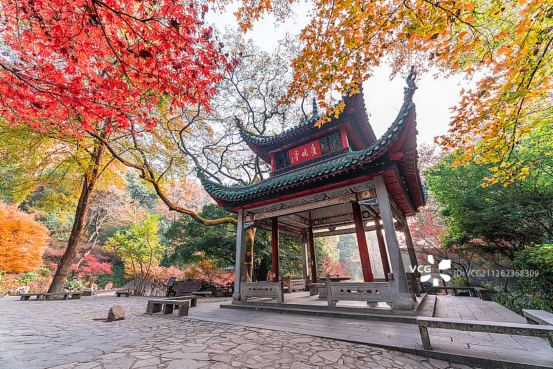 湖南长沙岳麓山爱晚亭枫叶红城市风光图片素材