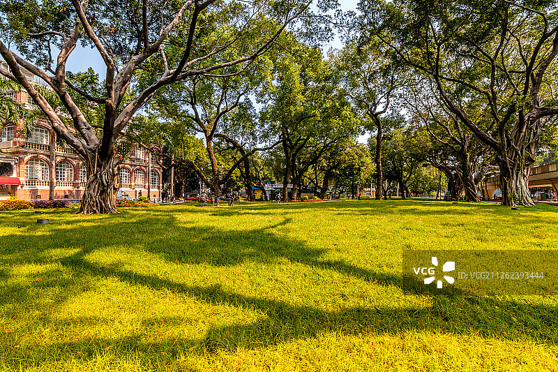 城市草地图片素材