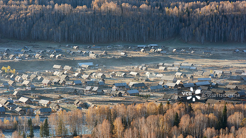 中国新疆林场图片素材