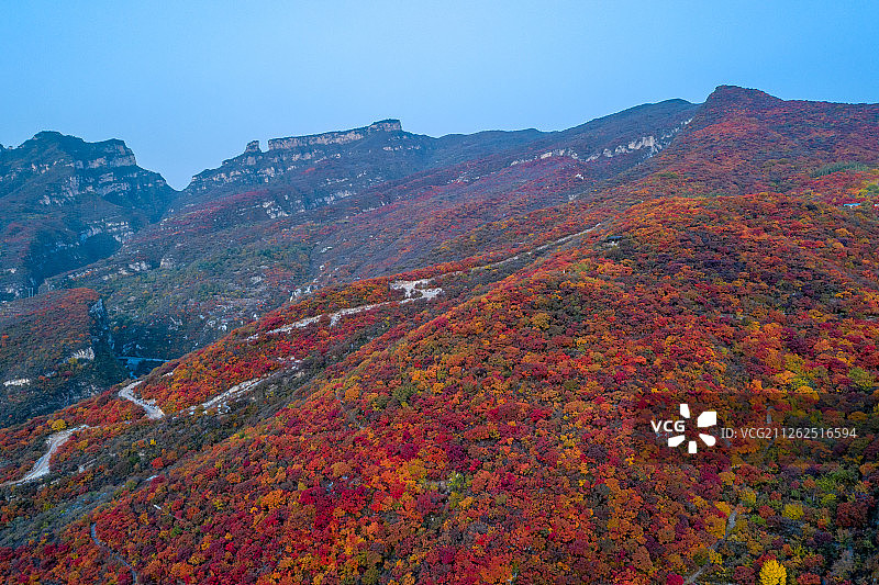 坡峰岭红叶图片素材