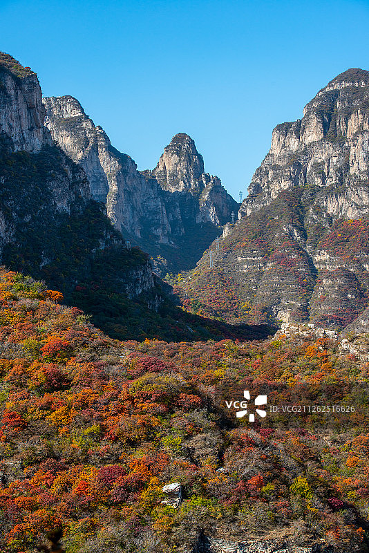 坡峰岭红叶图片素材