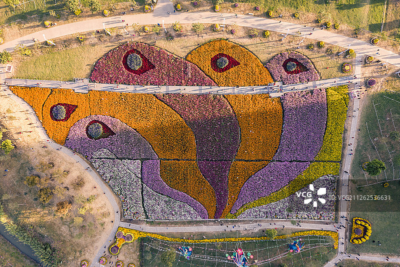 广东省中山市小榄镇菊花会图片素材