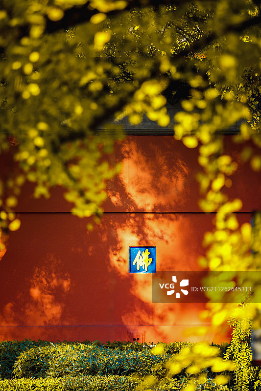 栖霞寺秋色+南京图片素材