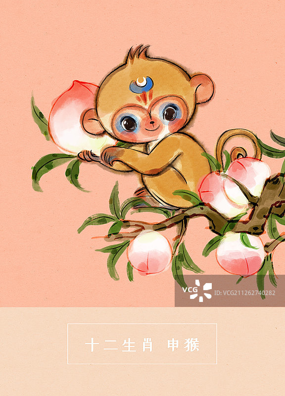 十二生肖猴插画图片素材