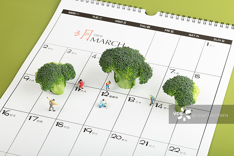 2020年春天植树节在日历上种树图片素材