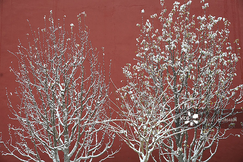 雪中的红色城墙图片素材
