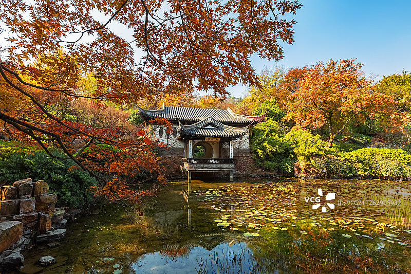 江苏无锡市锡惠公园杜鹃园风光图片素材