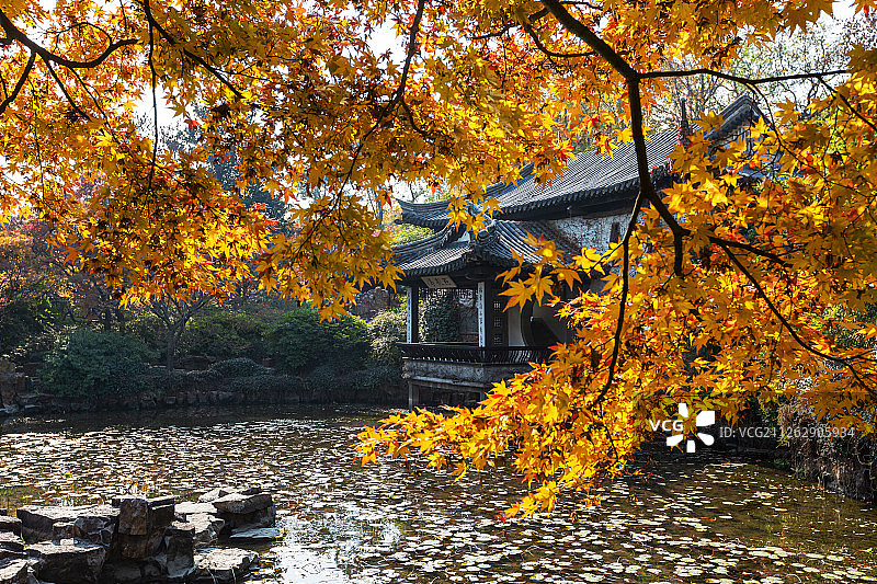 江苏无锡市锡惠公园杜鹃园风光图片素材