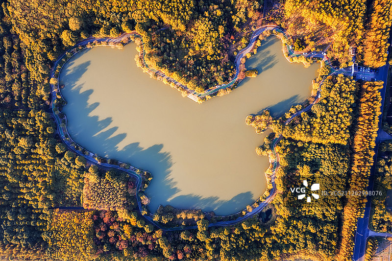 上海金山区蝶镜湖图片素材