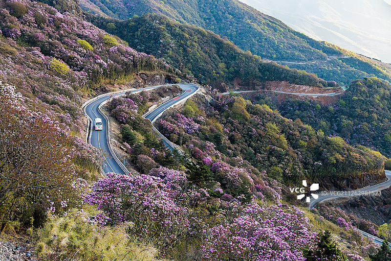 轿子雪山图片素材
