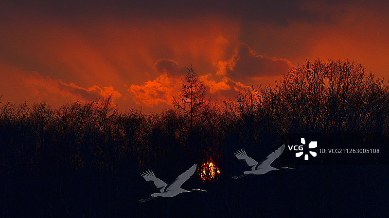 北海道釧路风光图片素材