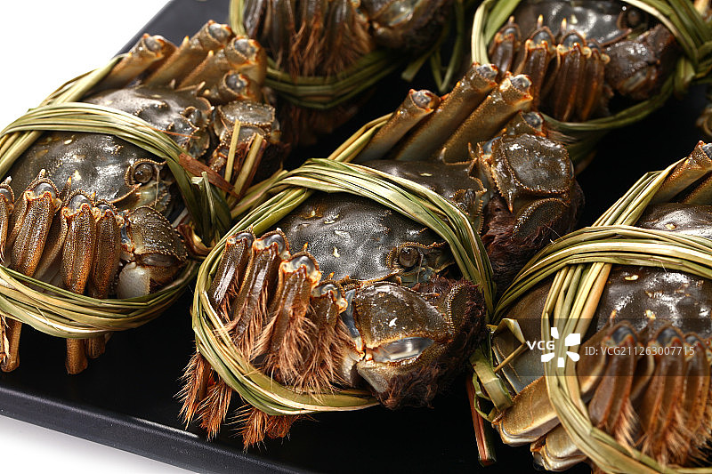 大闸蟹图片素材