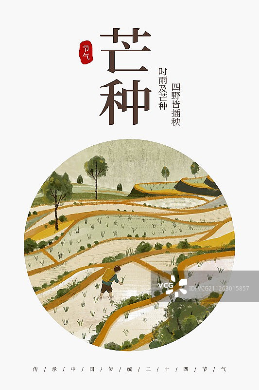 二十四节气之芒种海报图片素材