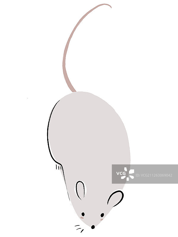 灰色的小老鼠插图手绘图片素材