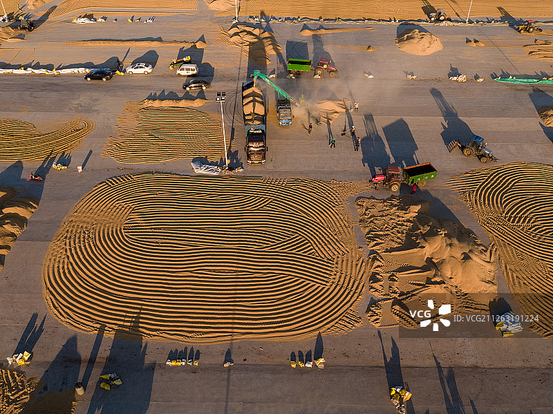 水稻晾晒图片素材