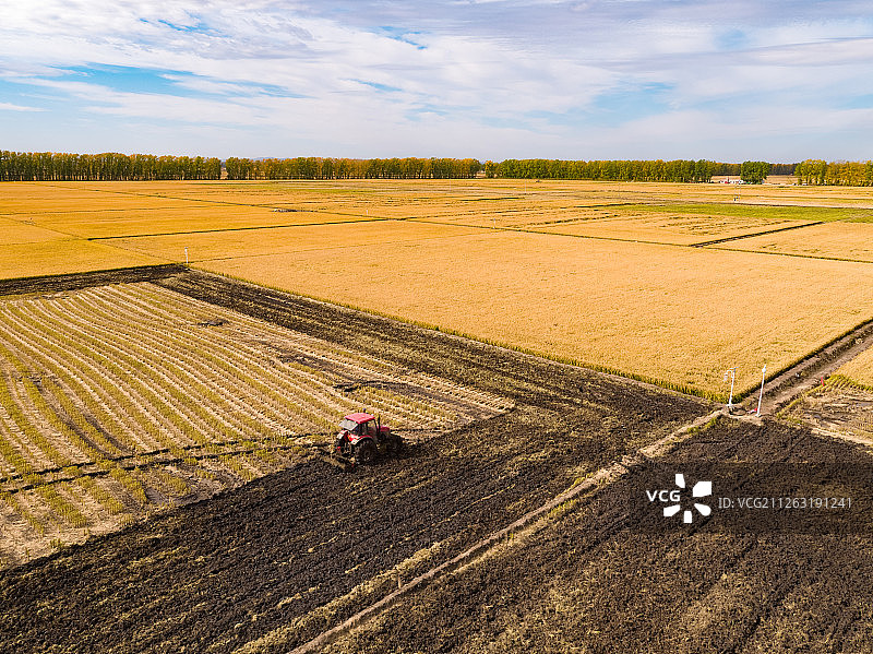 翻耙稻田图片素材