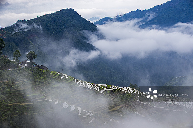 加榜梯田,贵州省,黔东南,苗族侗族自治州,从江县,西部月亮山,加榜乡图片素材