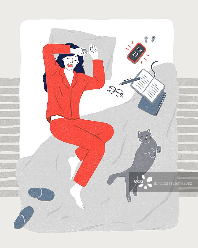 女人、女性、商务女人、白领、生活方式、夜晚、猫图片素材